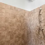 فيلة Beauty بريمونتيرا